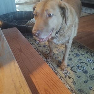 Meet your Posher, Linda